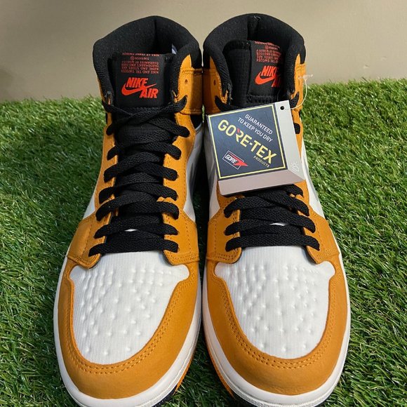 Nike Air Jordan 1 Retro High Element GORE-TEX Light Curry DB2889-700 Size 10 NEW